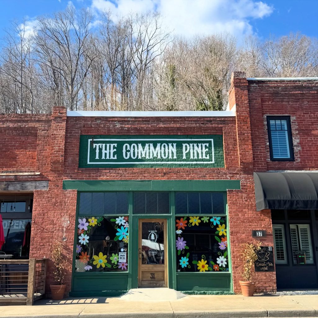 The Common Pine