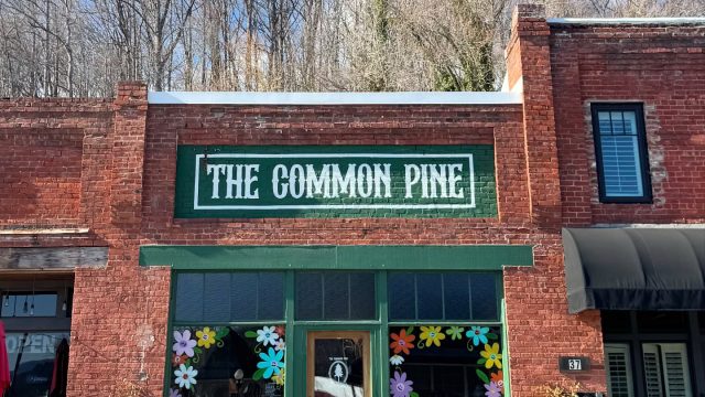 The Common Pine
