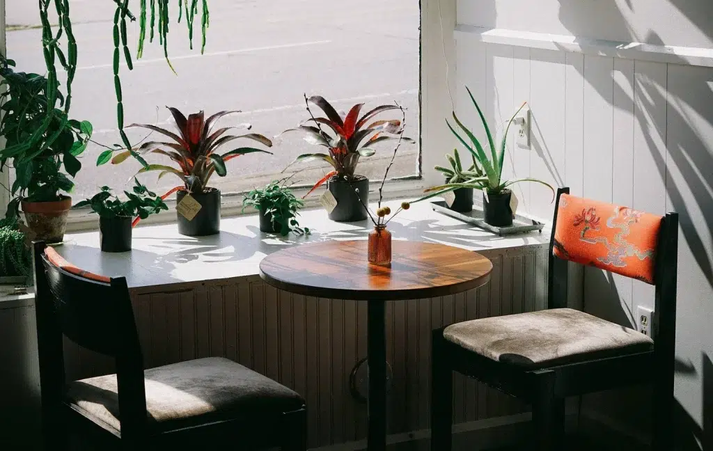 Seeker Coffee Old Fort NC