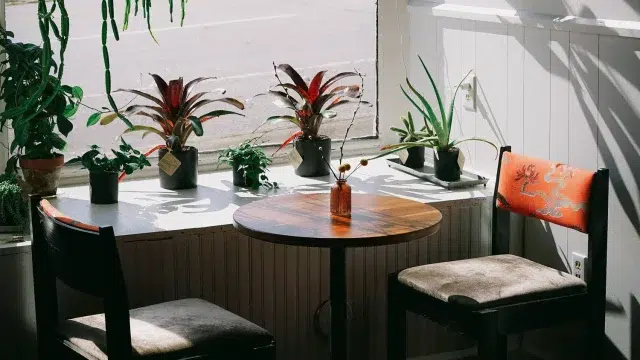 Seeker Coffee Old Fort NC